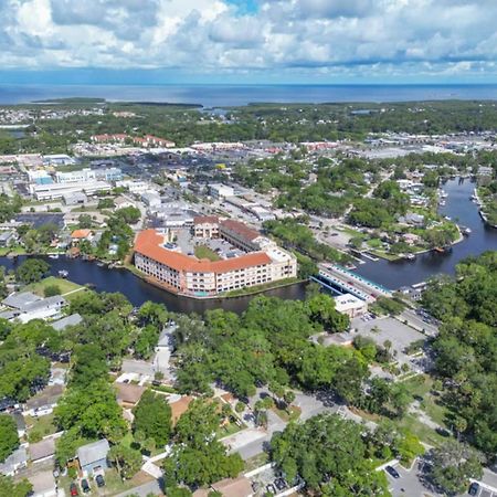 Walk Everywhere! 1-Bedroom Gem In Downtown Hub New Port Richey Exterior photo